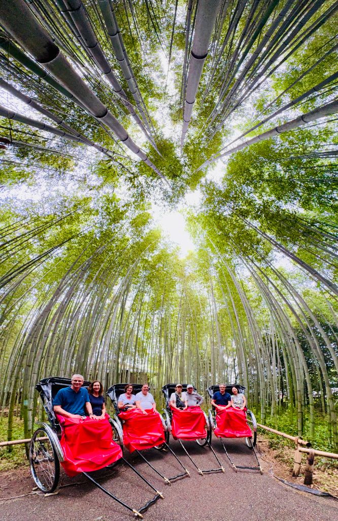 Arashiyama bamboo grove rickshaw tour